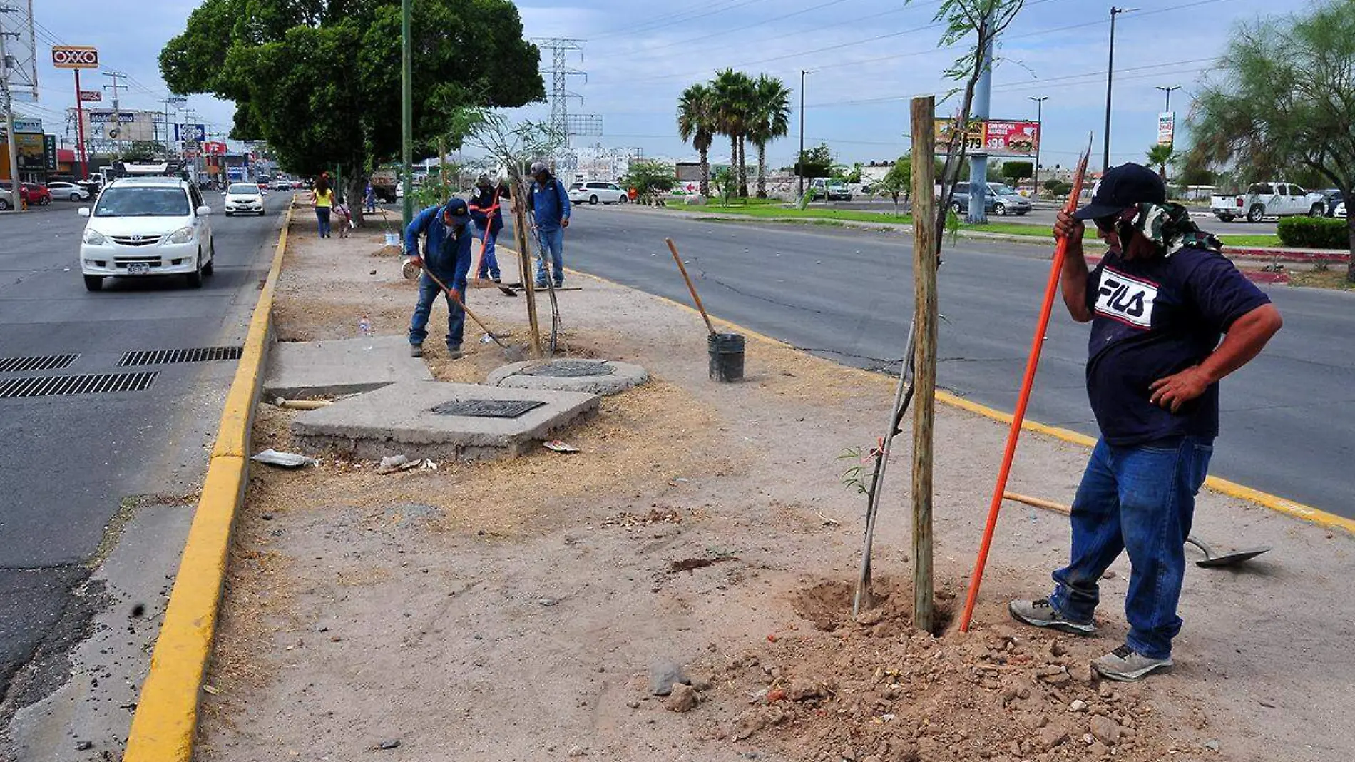 Reforestación Camellón Blvr Solidaridad-Omar Carrazco (8)